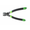 Prorex