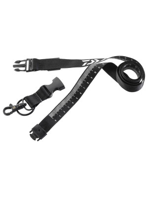 Lanyard