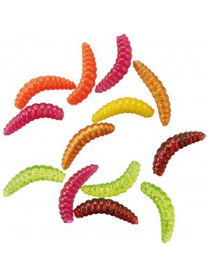 MAGGOT WORMS