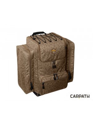 Area CARPER Carpath