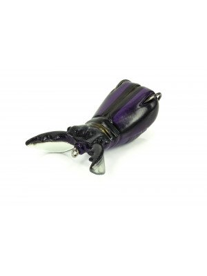 Supernato Beetle